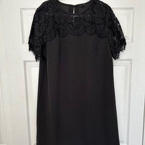 Mini, Straight Ann Taylor Lace sleeved Dress, Size 16